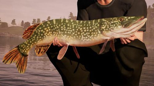 钓鱼模拟世界 Fishing Sim World_0