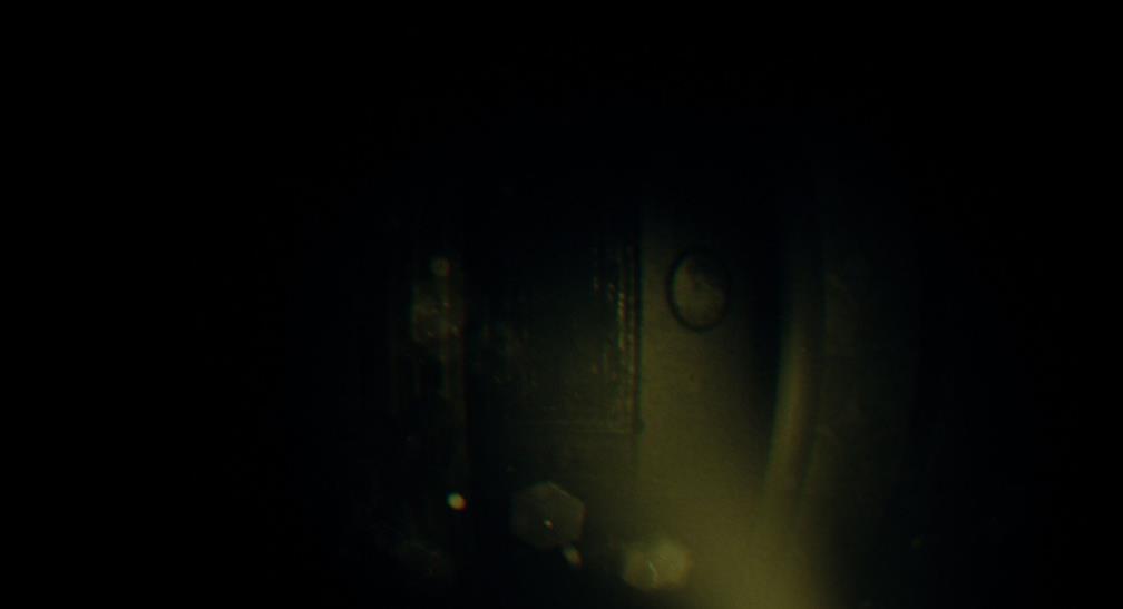 REC：镜头之外（REC: Beyond The Lens）_0
