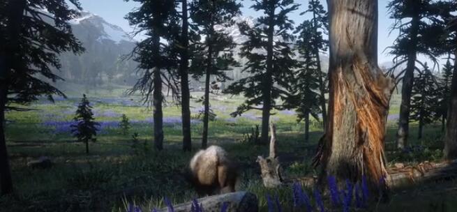 【5.05】PS4《荒野大镖客2 Red Dead Redemption 2》港版中文pkg【含1.29补丁+DLC+金手指】_0