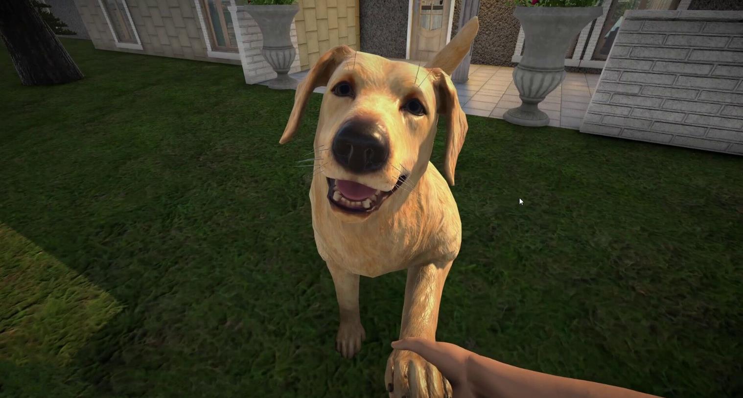 宠物旅馆（Pets Hotel）_0