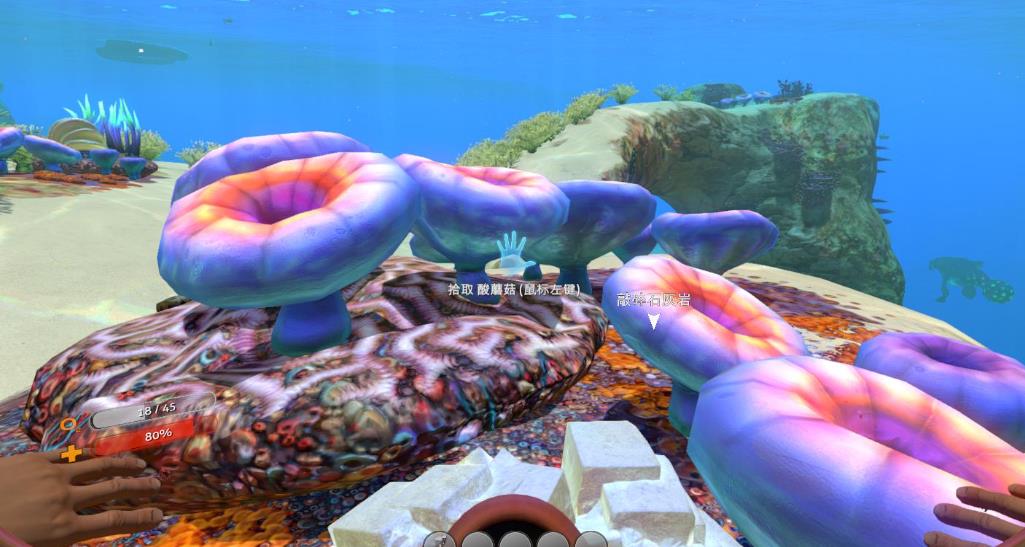 美丽水世界/深海迷航 Subnautica_0