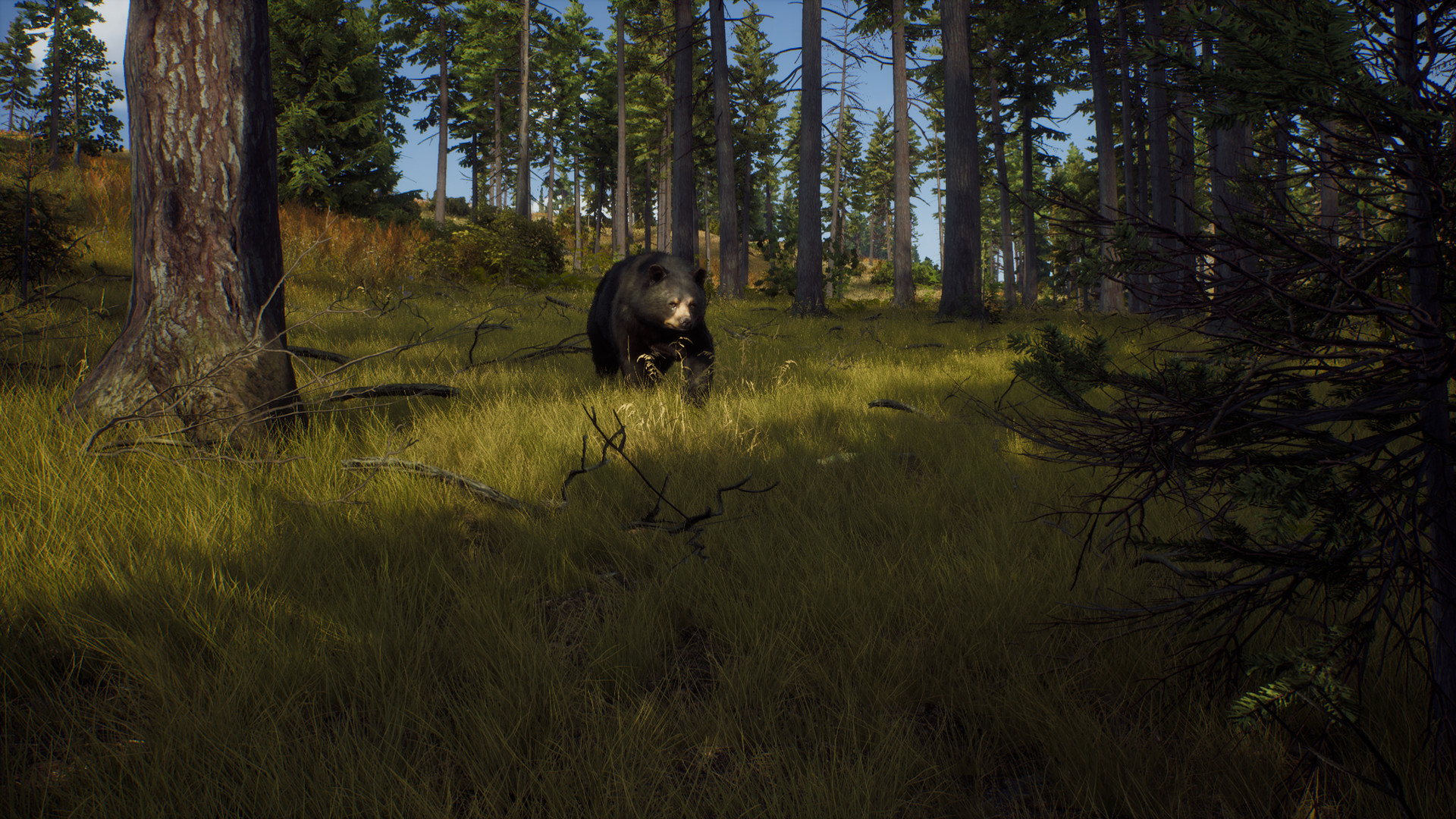 猎人之路 精英版 Way of the Hunter_1