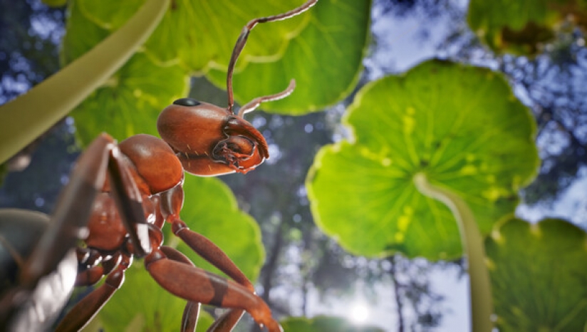 蚂蚁帝国 Empire of the Ants_1