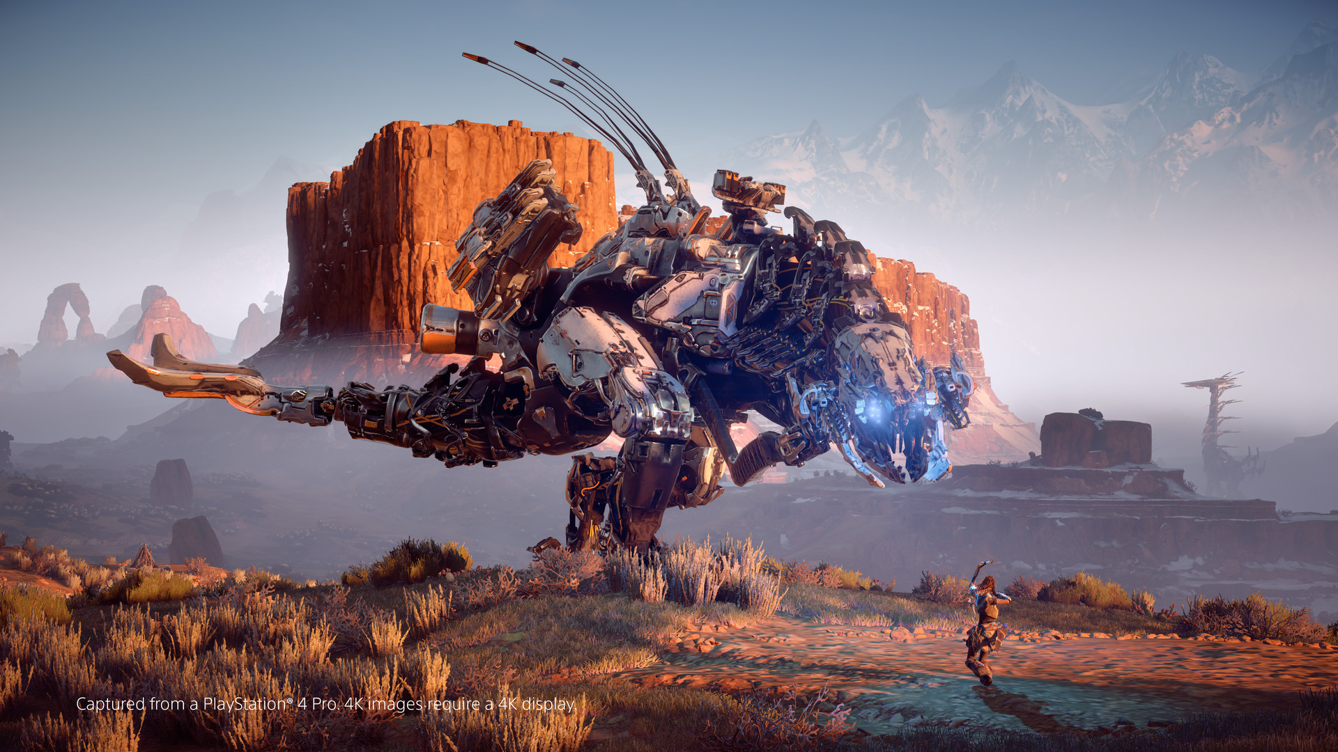 地平线 零之曙光™ 重制版 Horizon Zero Dawn™ Complete Edition_1