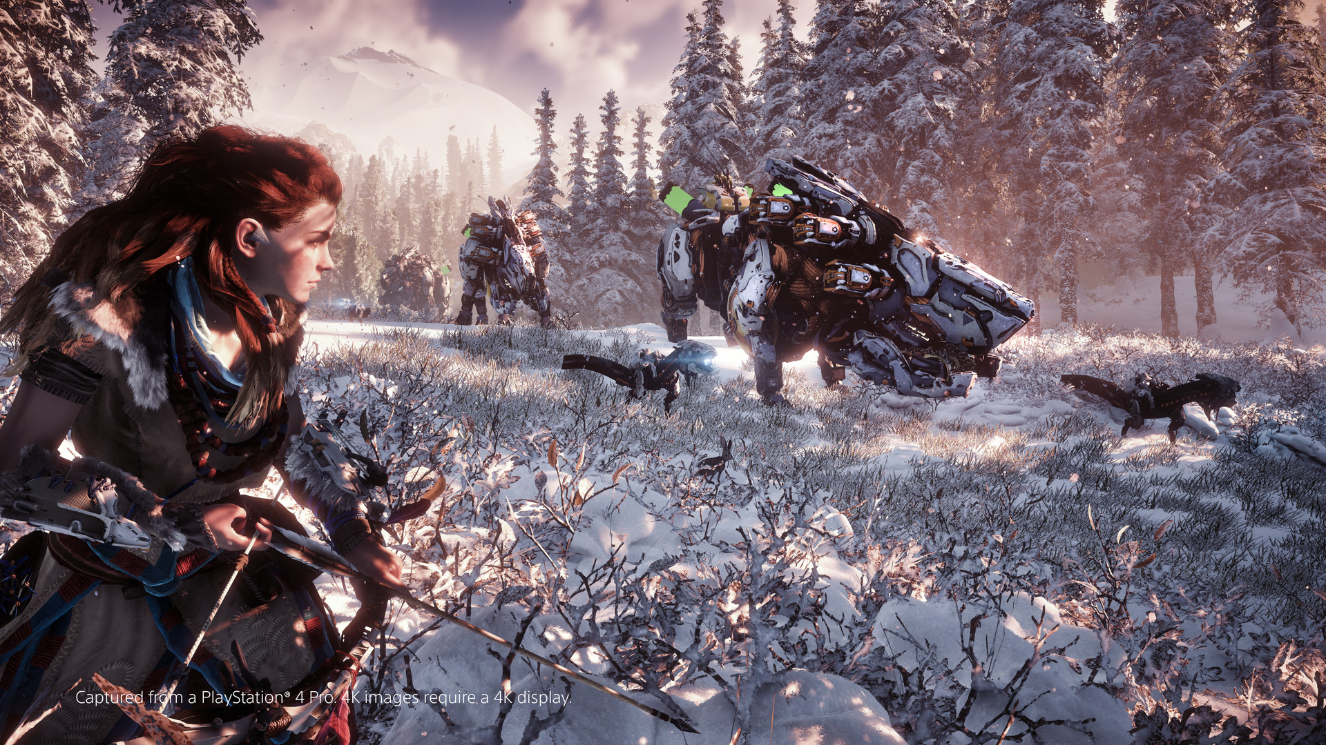 地平线 零之曙光™ 重制版 Horizon Zero Dawn™ Complete Edition_0