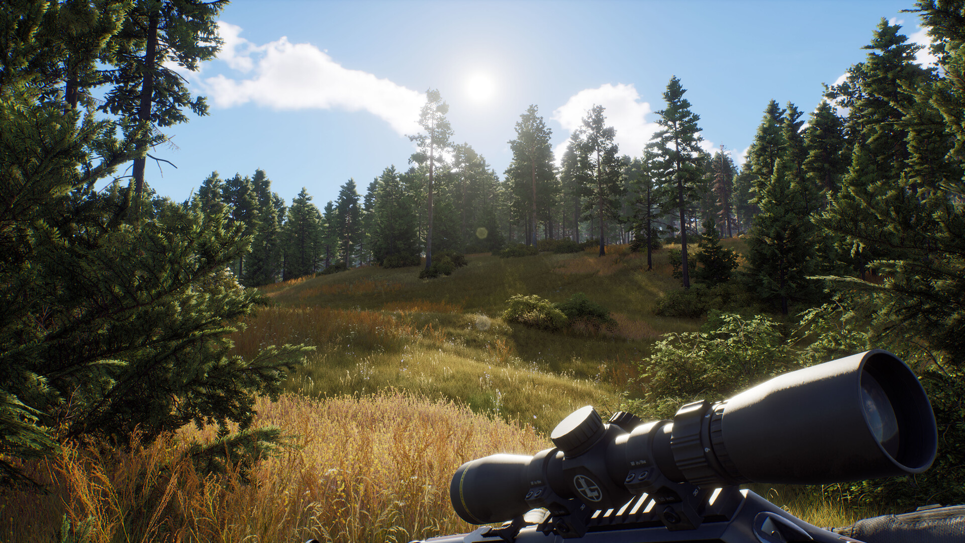 猎人之路 way of the hunter_2