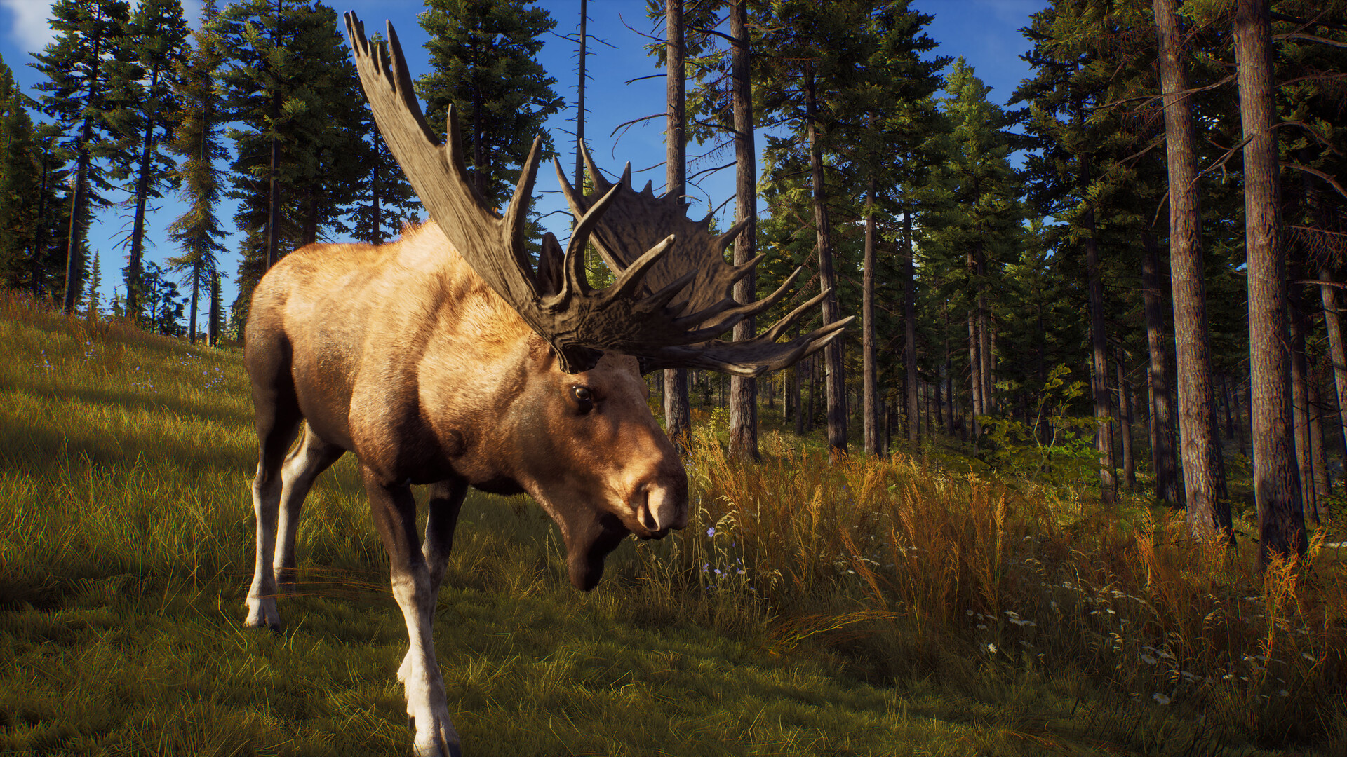 猎人之路 way of the hunter_0