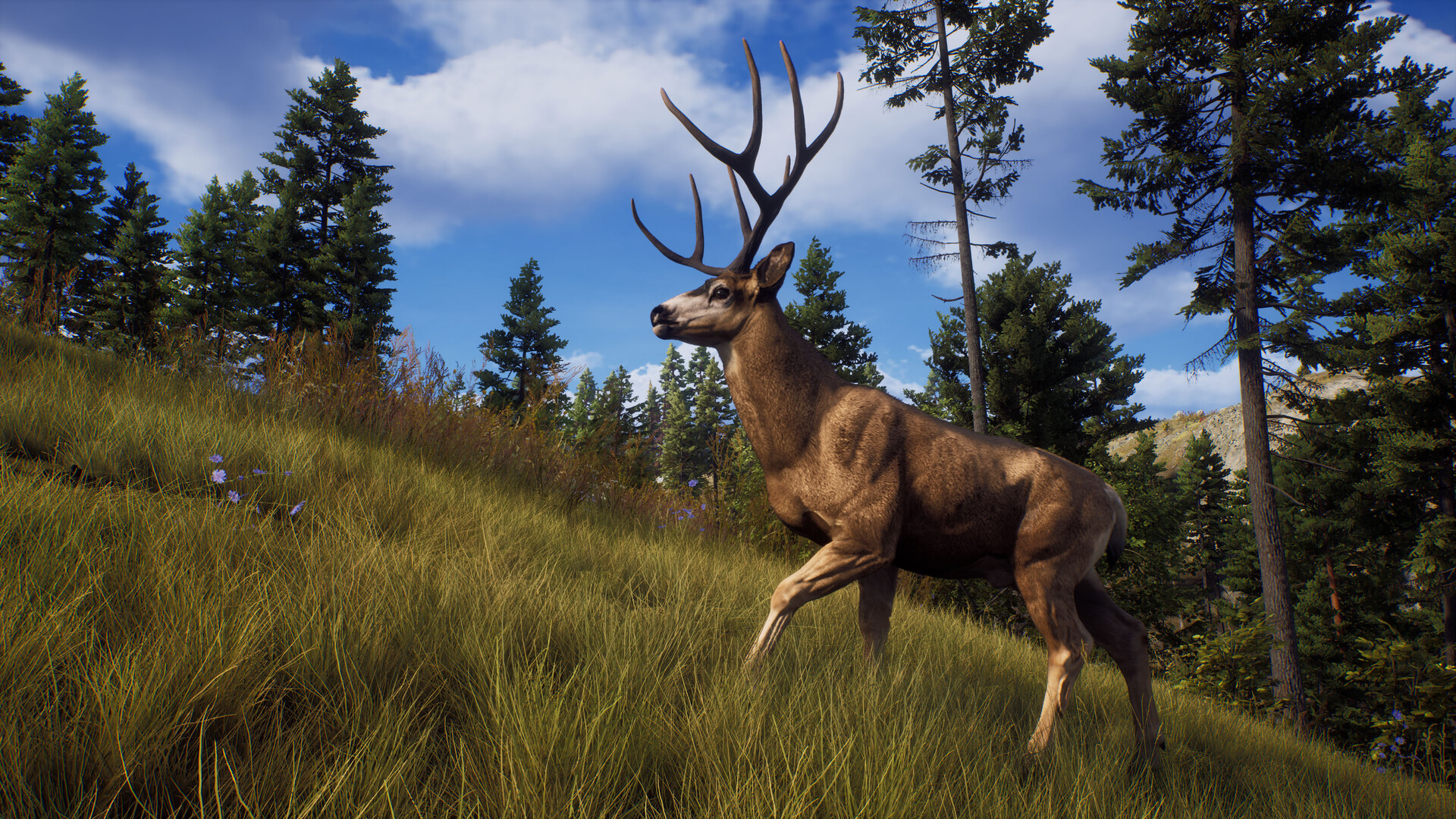 猎人之路 way of the hunter_1