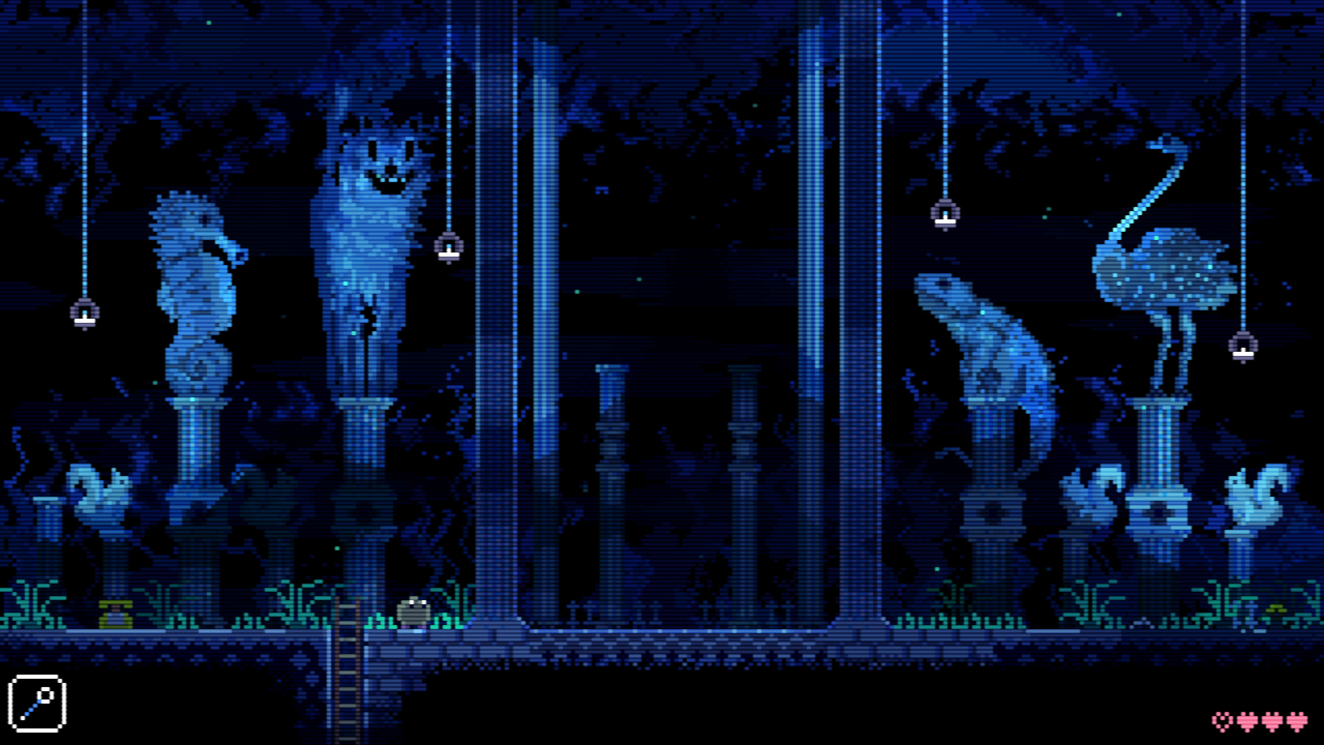 动物井 ANIMAL WELL_0