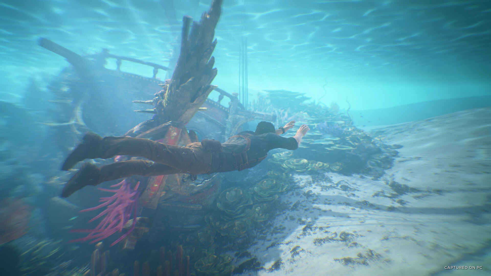 神秘海域：盗贼遗产合集 UNCHARTED™_0
