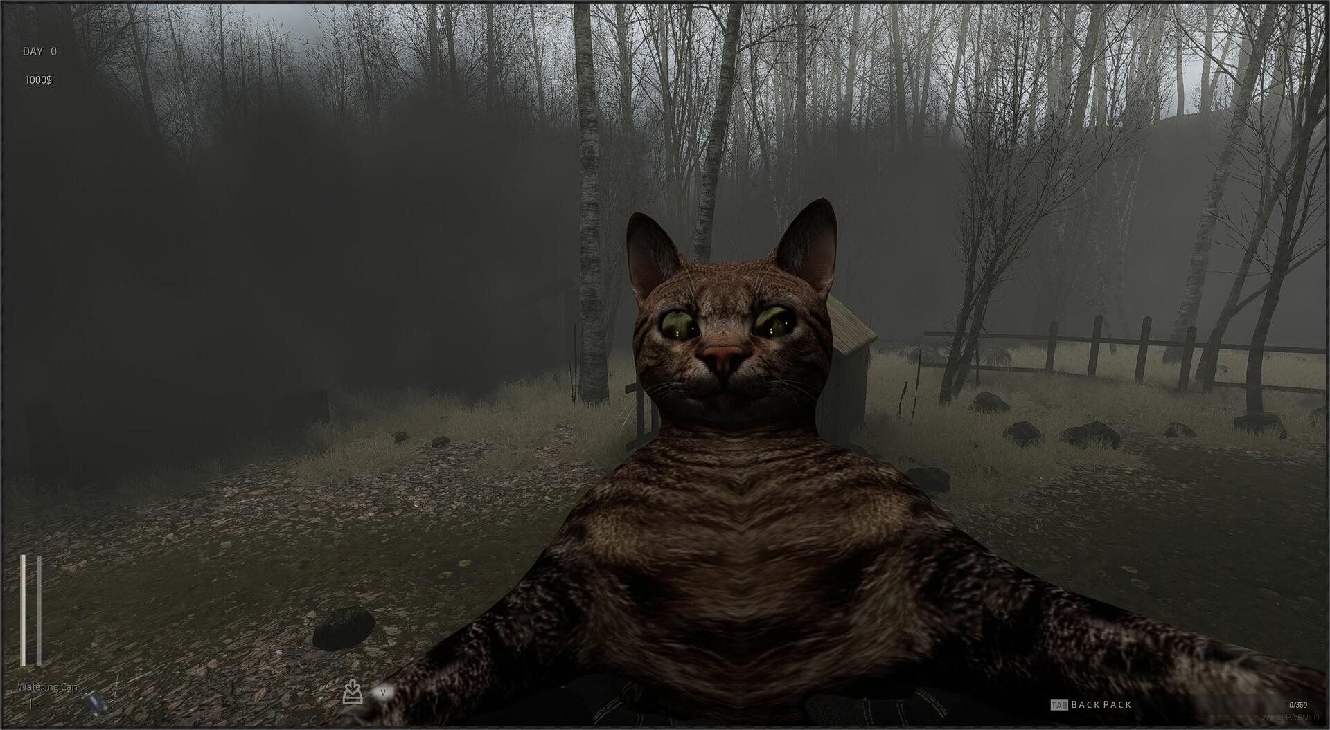 森林之下 Descending The Woods_0