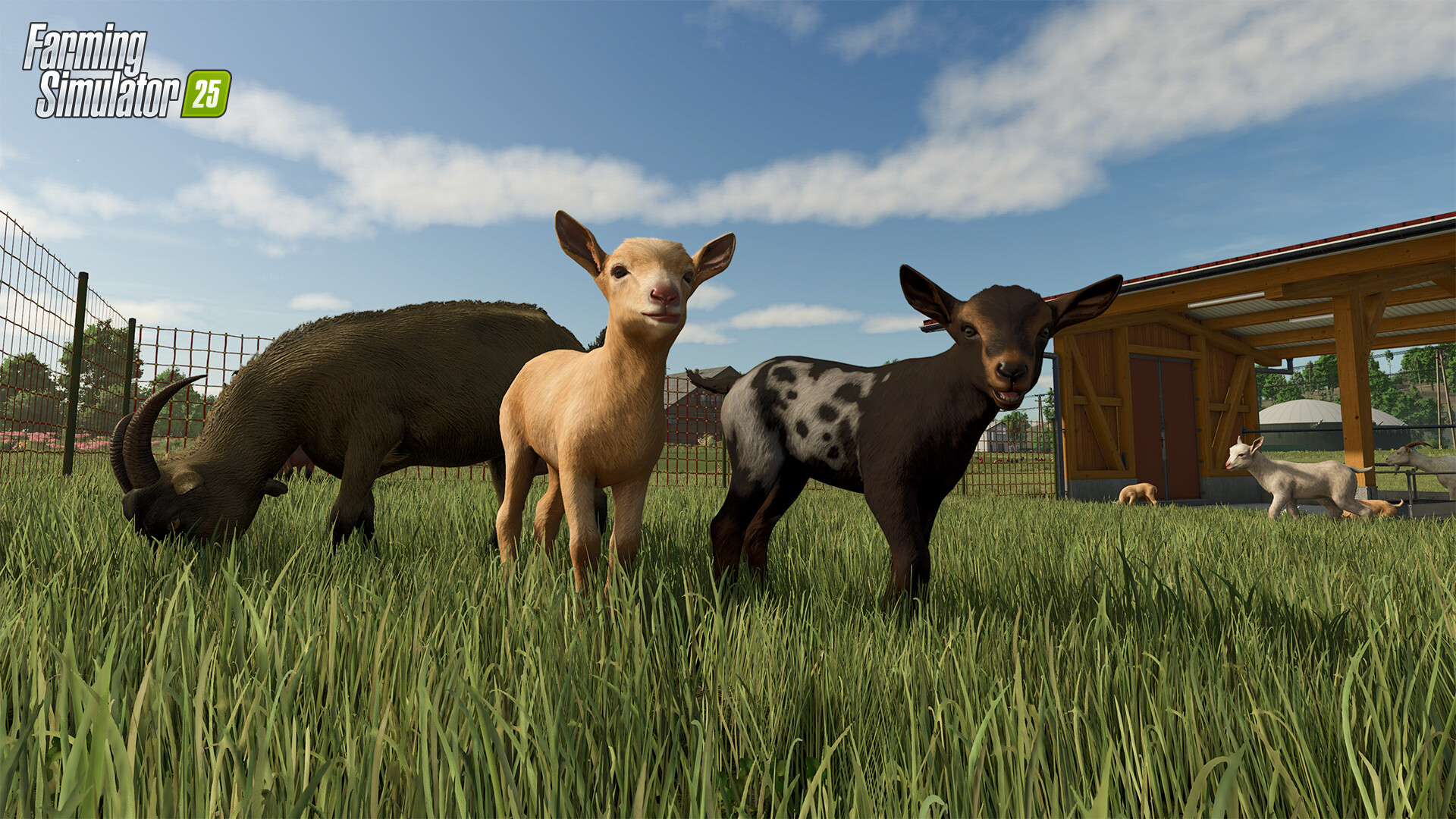 模拟农场25 Farming Simulator 25_0