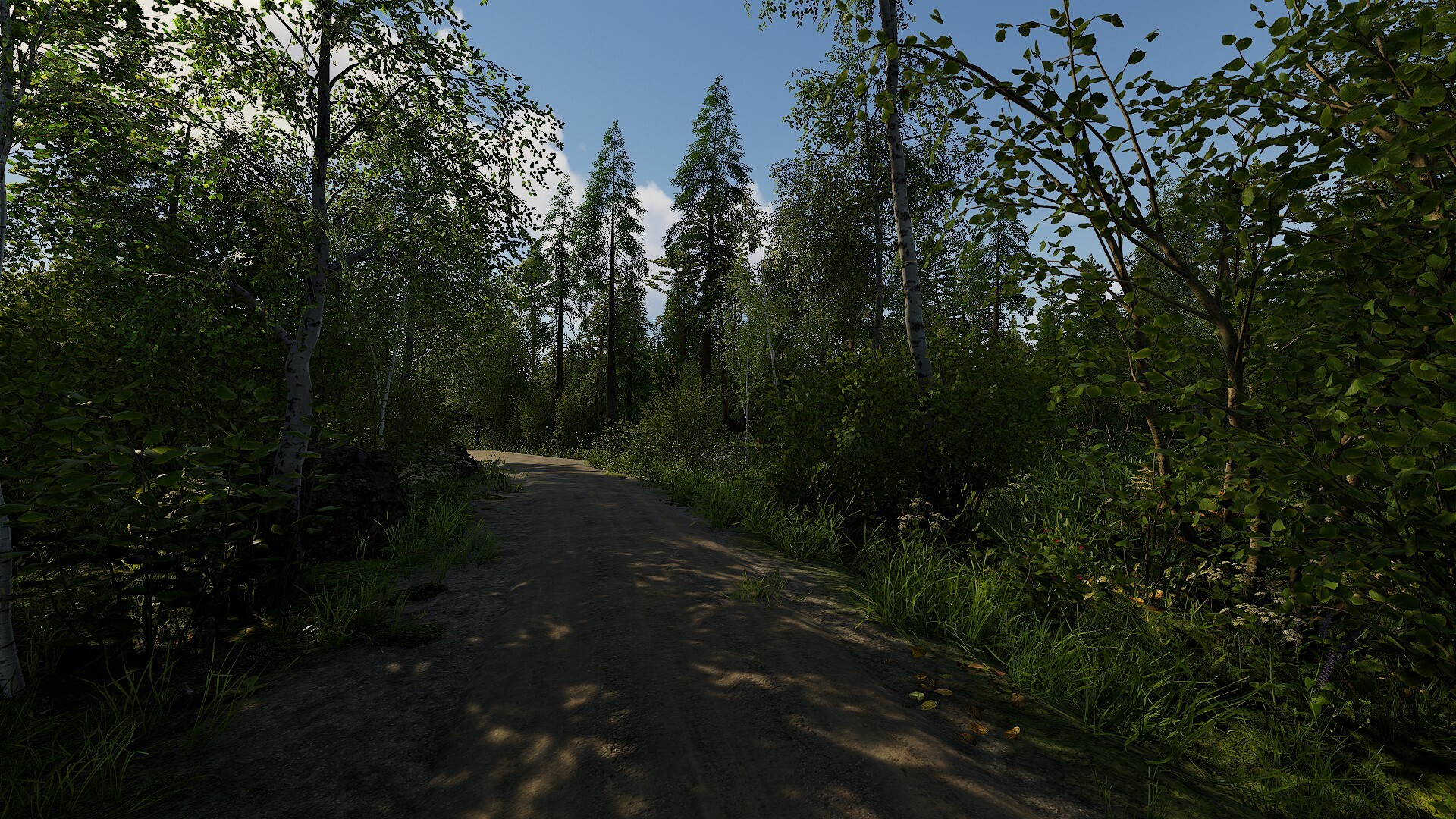 芬兰小屋模拟器/Finnish Cottage Simulator_1