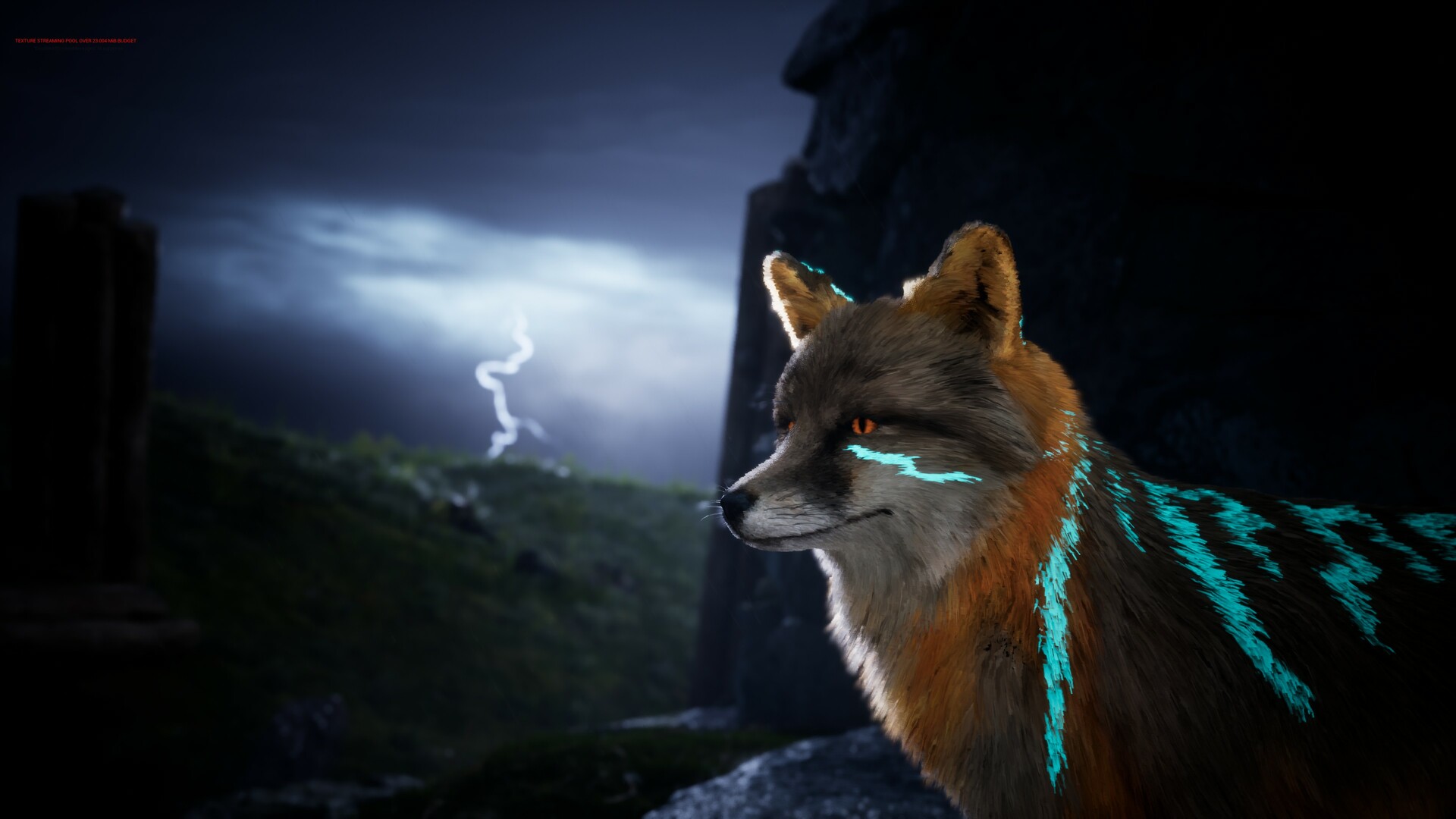 北方之灵2/Spirit of the North_0