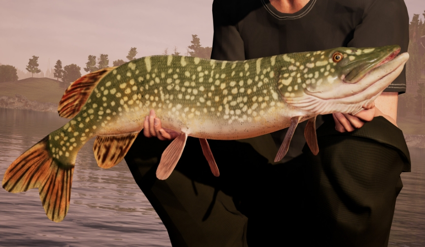钓鱼模拟世界.Fishing Sim World_0