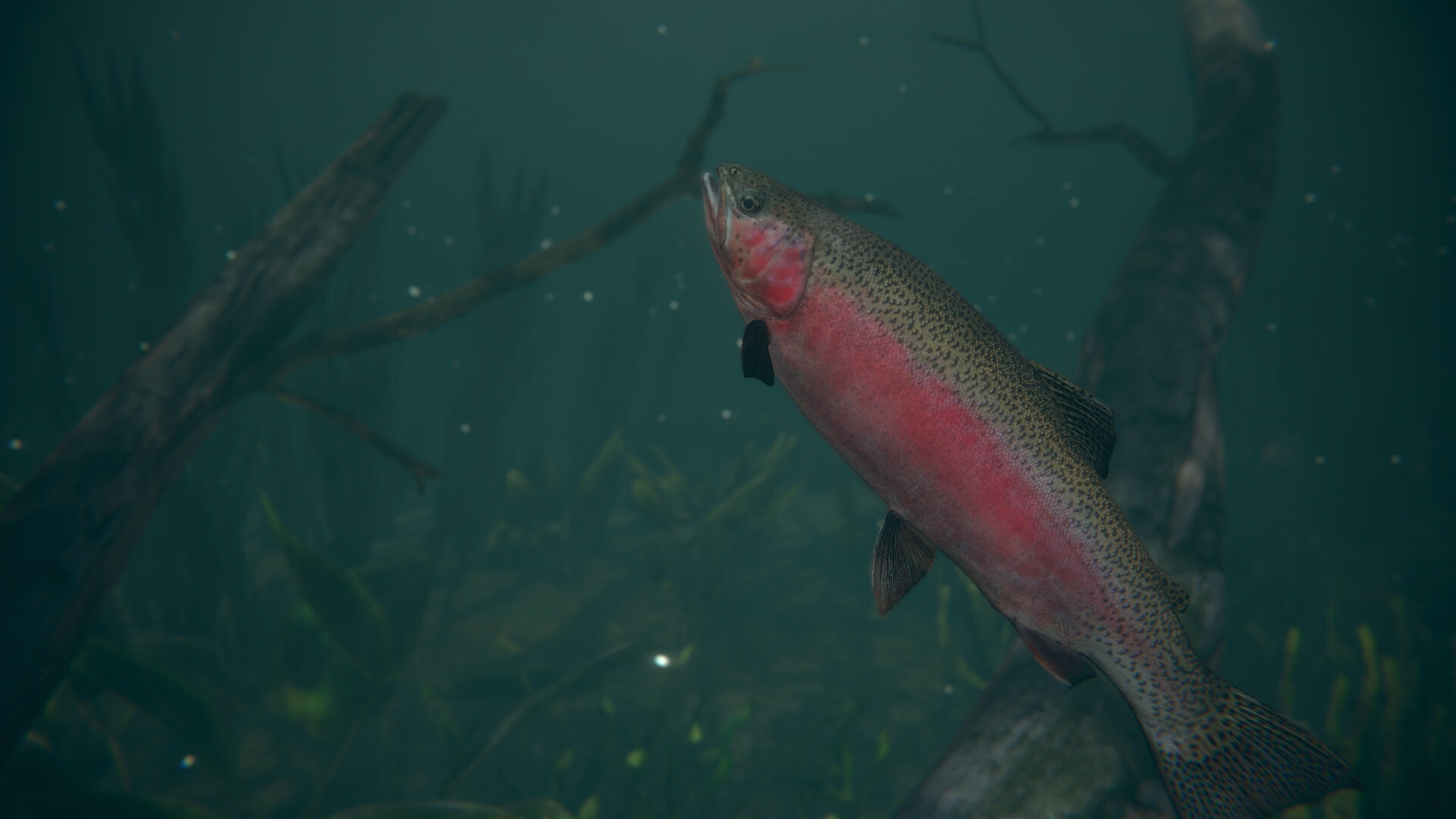 终极钓鱼模拟器2/Ultimate Fishing Simulator 2_1