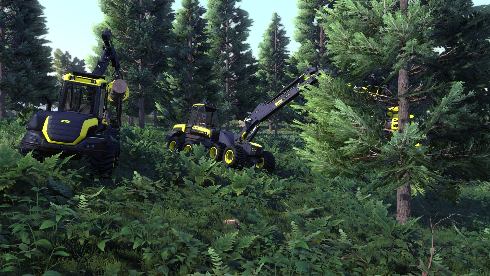 伐木工王朝/Lumberjack's Dynasty_0