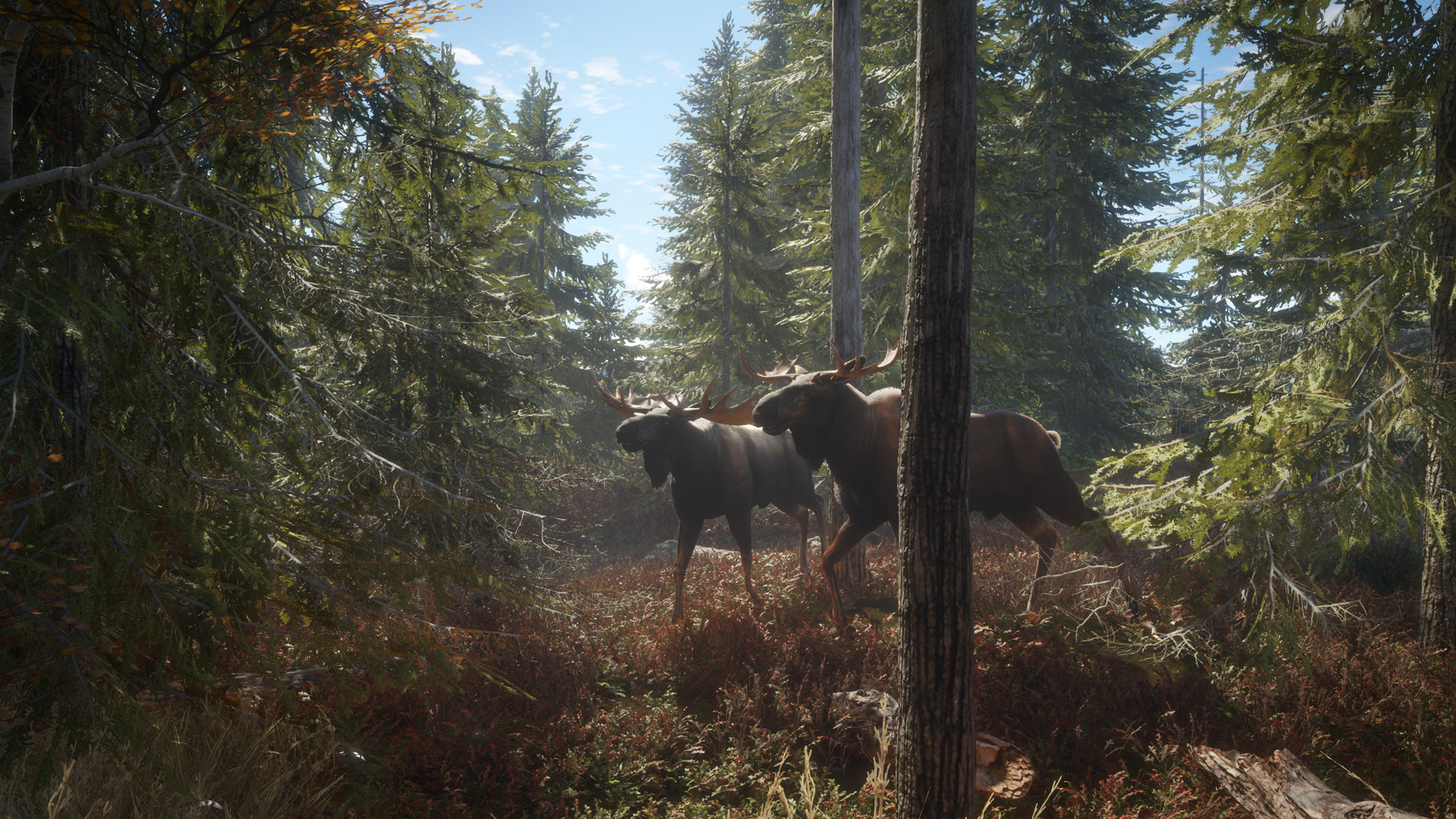 猎人：荒野的召唤/theHunter: Call of the Wild_1