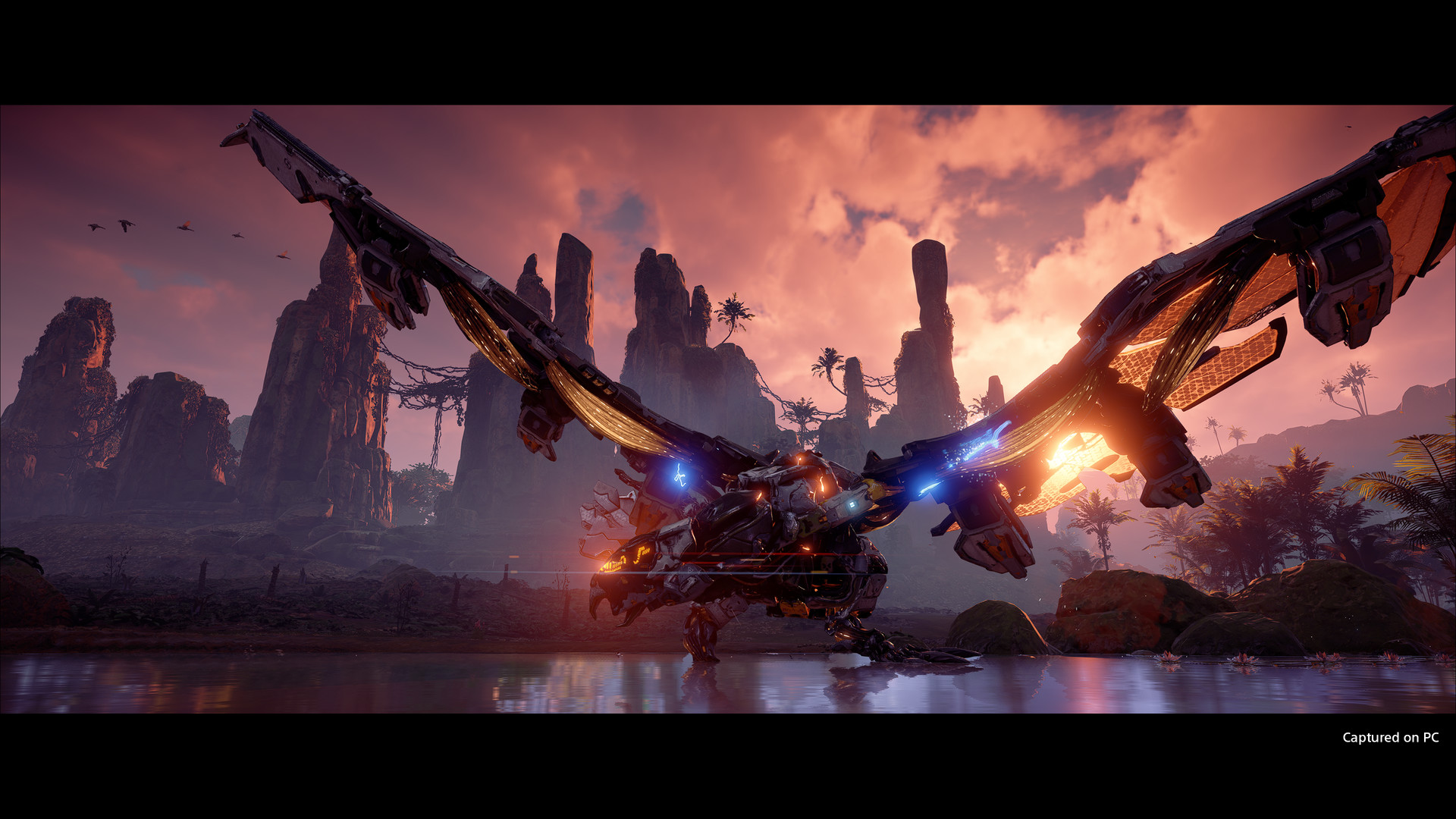 地平线：零之曙光完全版/Horizon Zero Dawn Complete Edition_1