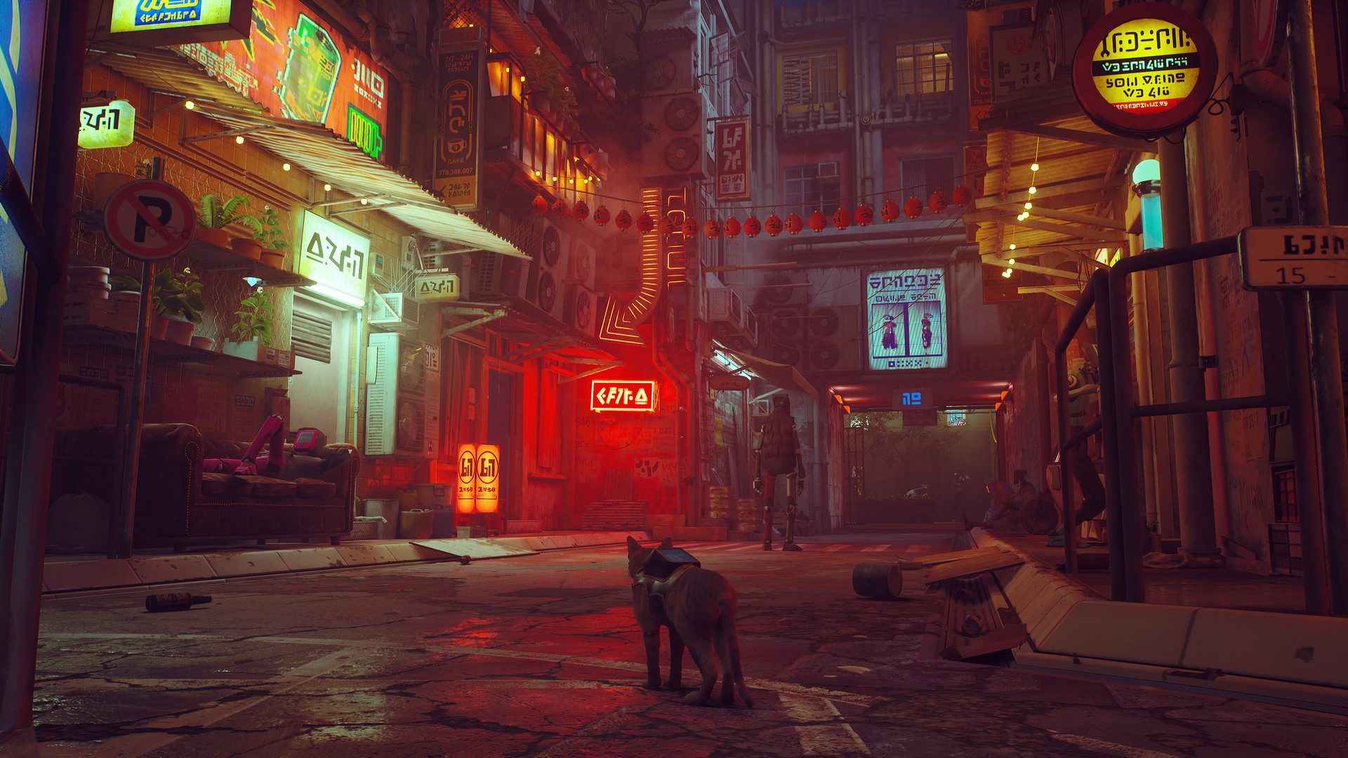 迷失/Stray_1