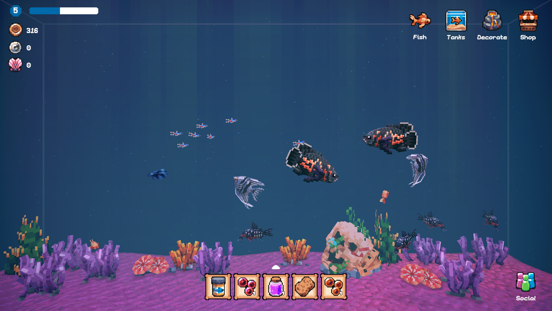 全球鱼友俱乐部：放置好时光/Tiny Aquarium: Social Fishkeeping_0