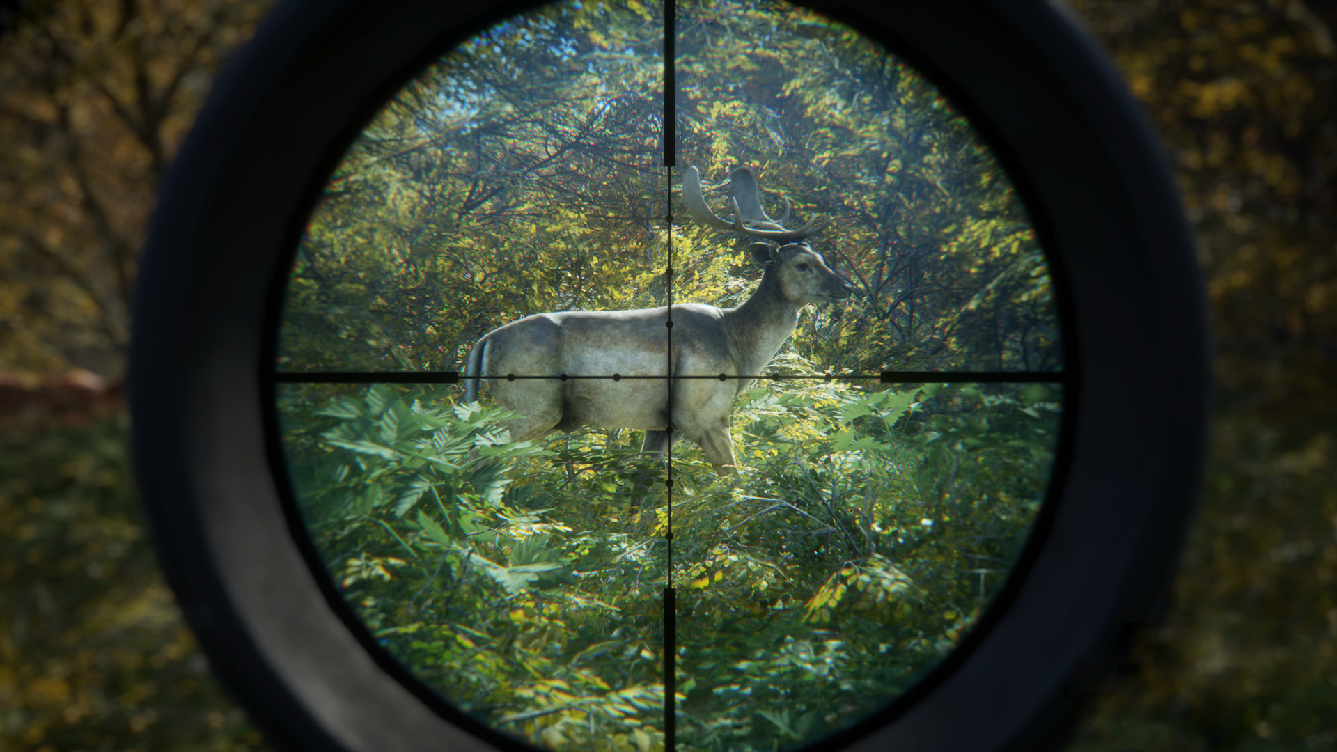 猎人：荒野的召唤/theHunter: Call of the Wild_0