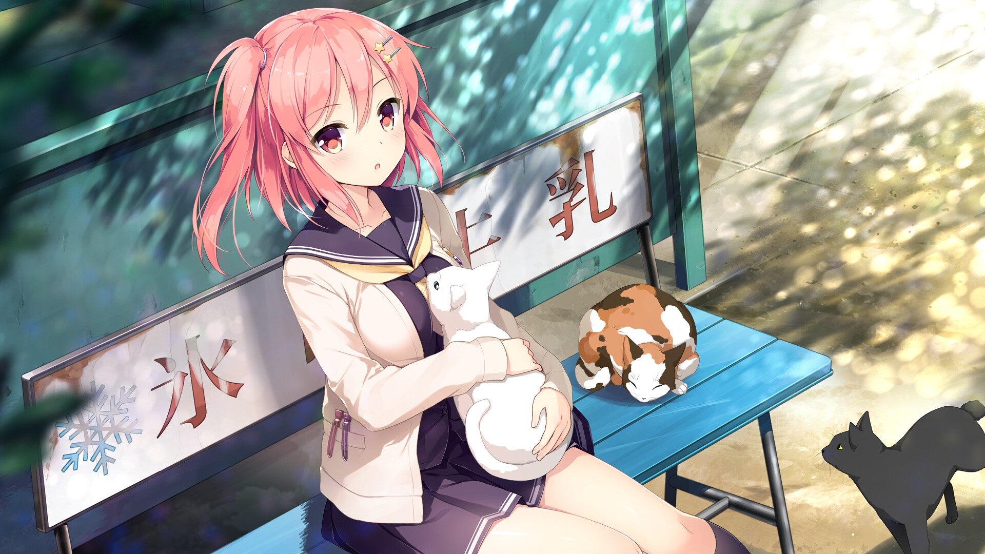 想要传达给你的爱恋/Koi x Shin Ai Kanojo_0