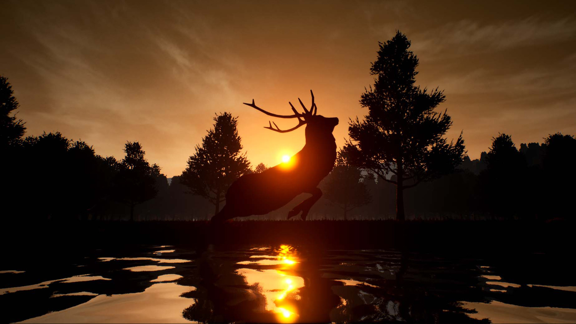 鹿之旅/Deer Journey_1