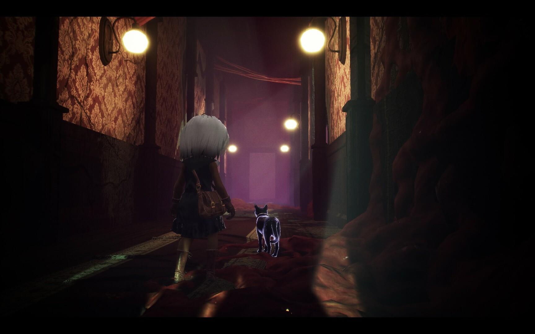 光：黑猫与失忆症女孩/LIGHT：Black Cat & Amnesia Girl_0