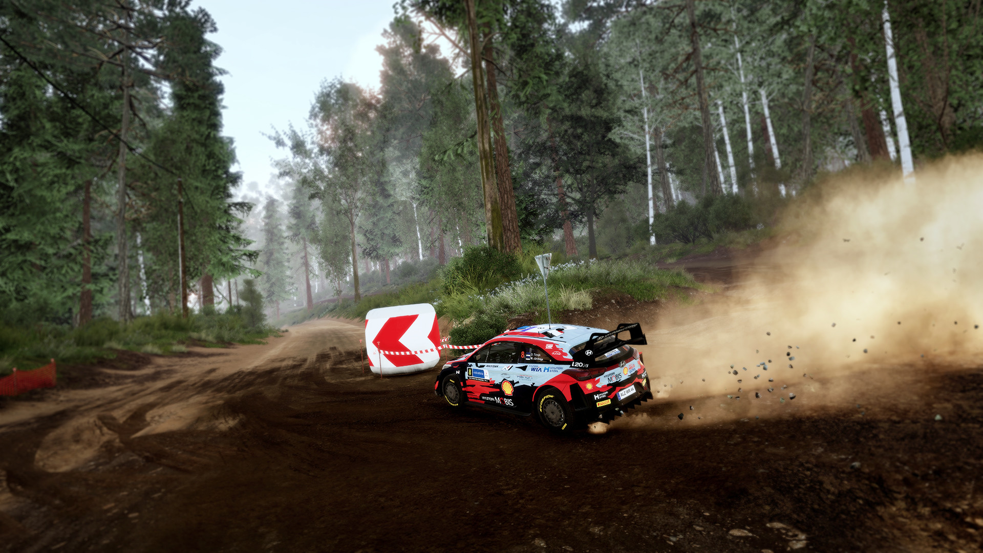 世界汽车拉力锦标赛10/WRC 10 FIA World Rally Championshi_0