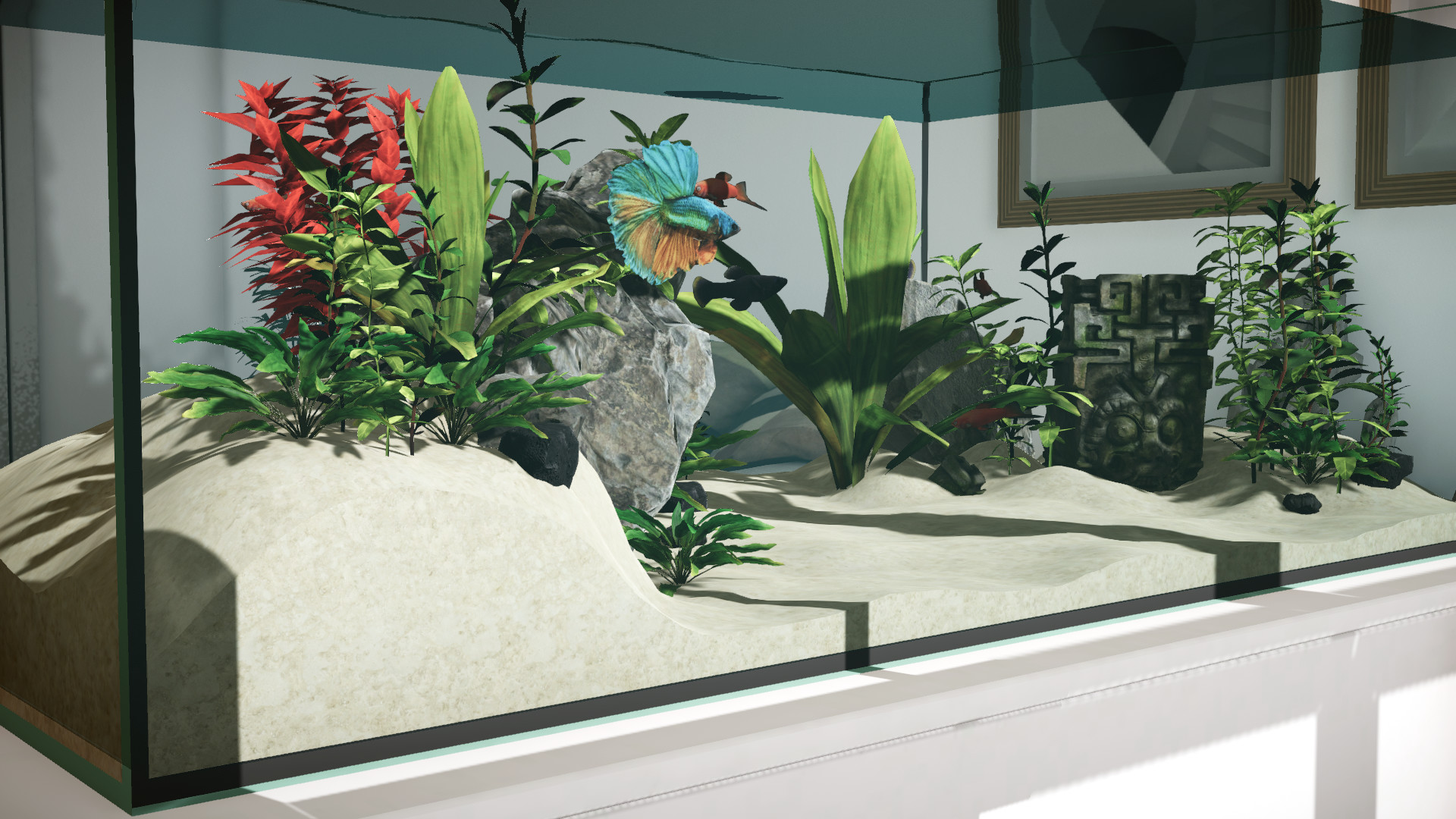 水族箱设计师/Aquarium Designer_0