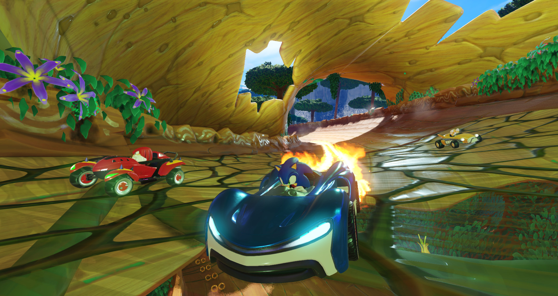 索尼克团队赛车/Team Sonic Racing_0