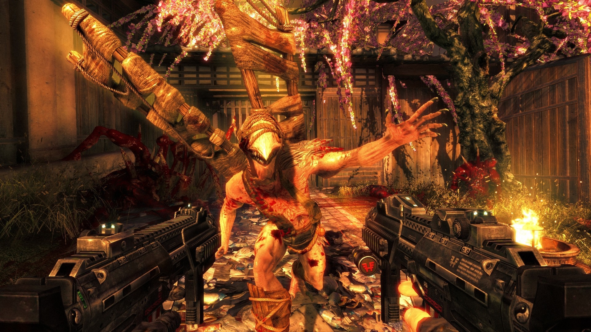 影子武士/Shadow Warrior_0