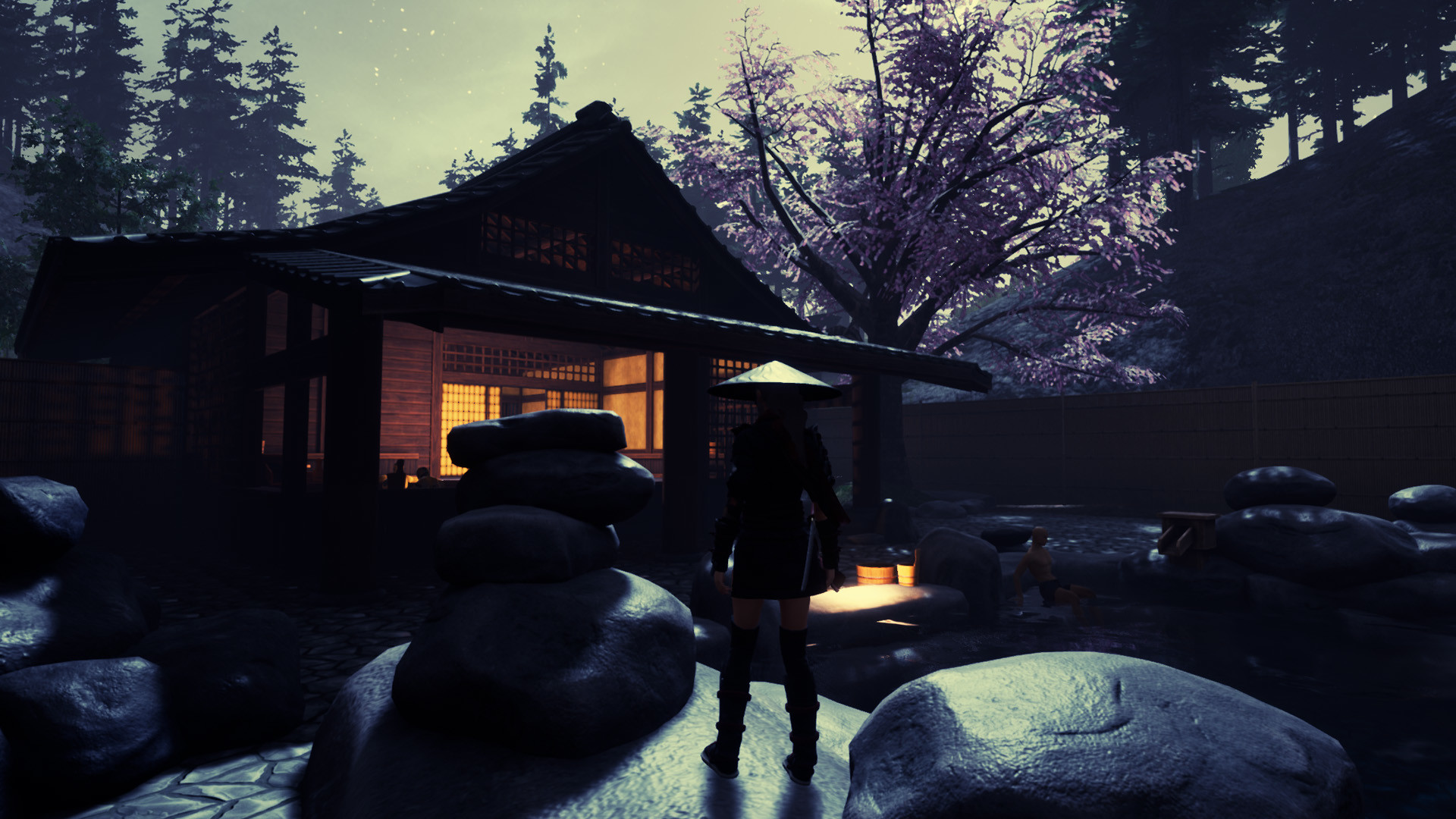 忍者传：三好家的陨落/Tale of Ninja: Fall of the Miyoshi_1