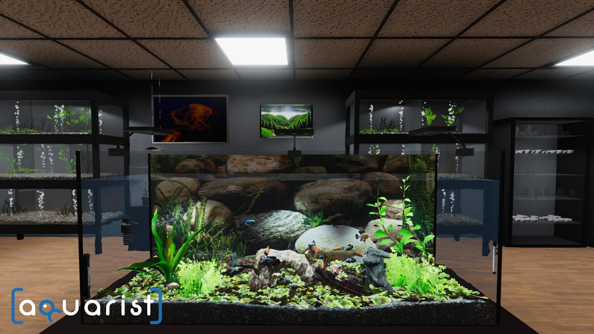Aquarist - 建造水族馆，养鱼，发展你的事业！_1