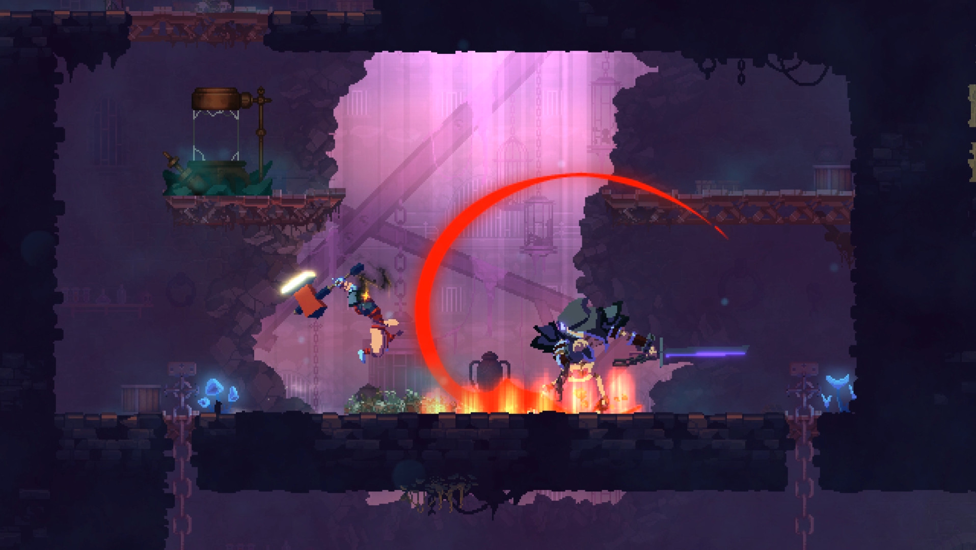 死亡细胞/Dead Cells_1