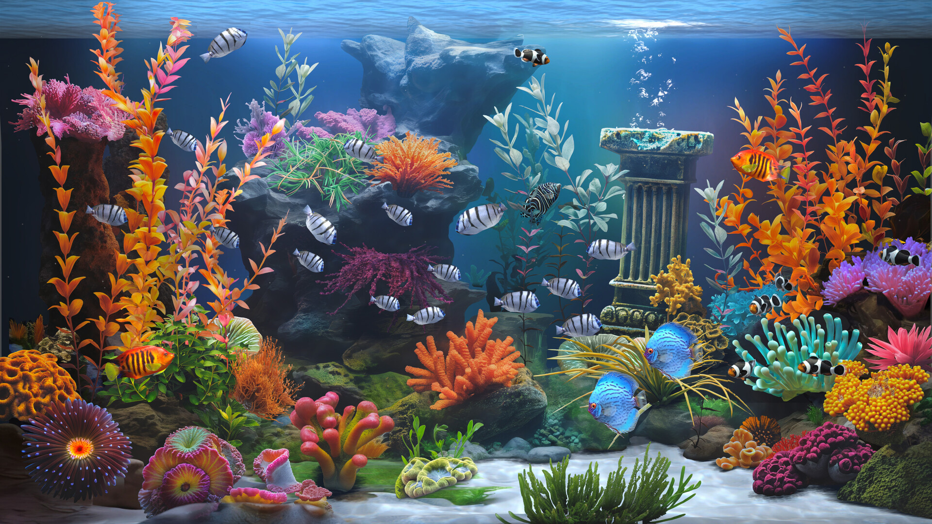 禅意水族馆/Zen Aquarium_1