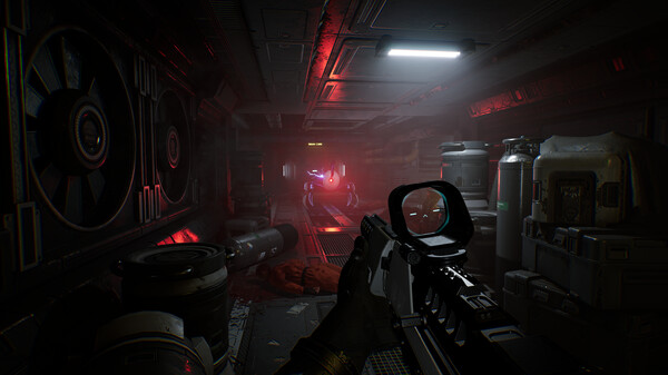 物种:未知/Species: Unknown_1