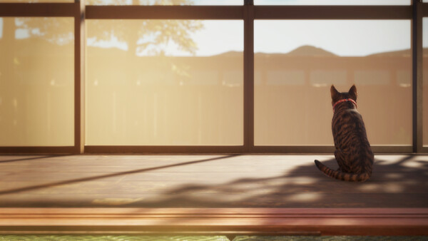 猫还在逃吗?/Still It Runs_2