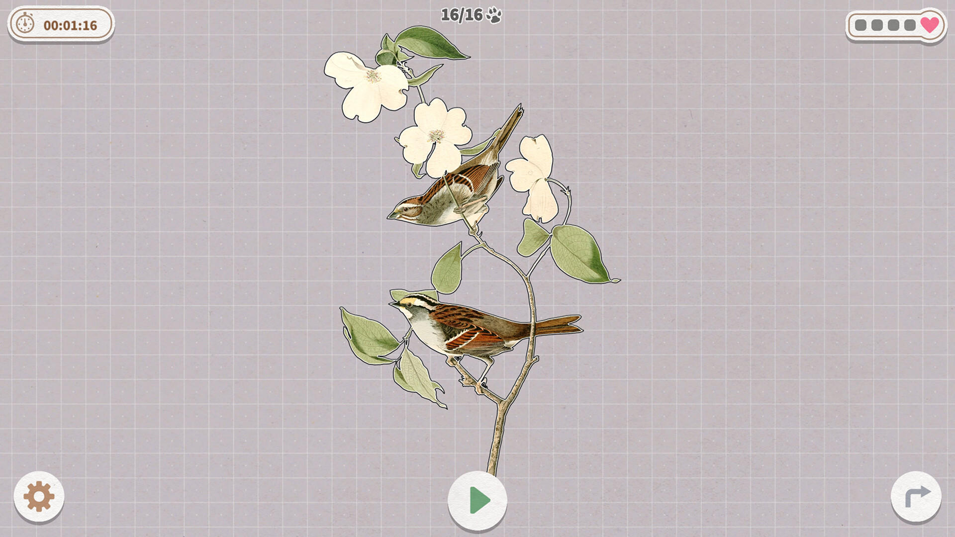 挤在一起的鸟鸟/Birds Huddled Together_0