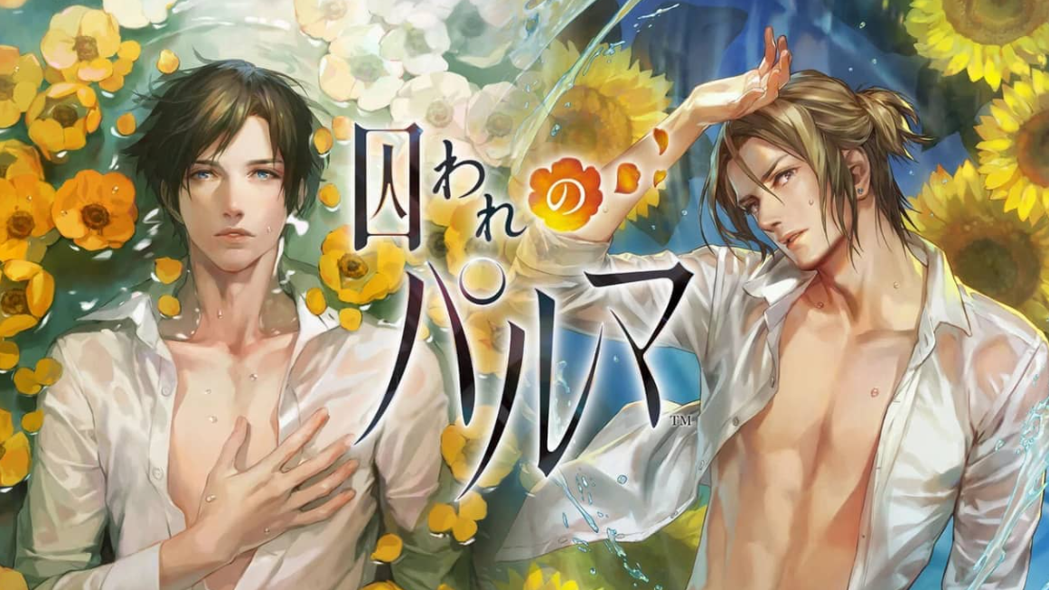 被囚禁的掌心 Toraware no Palm Deluxe Edition_0