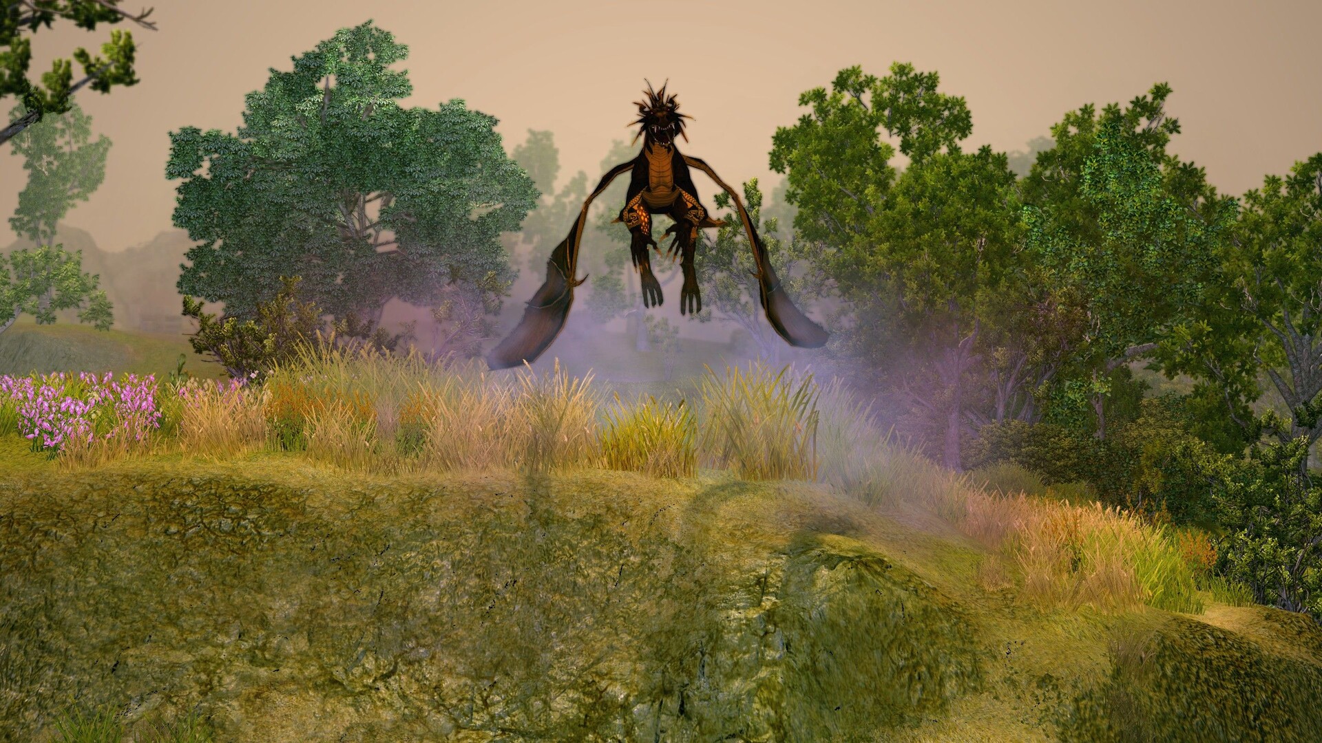 圣域2:重制版/Sacred 2 Remaster_2