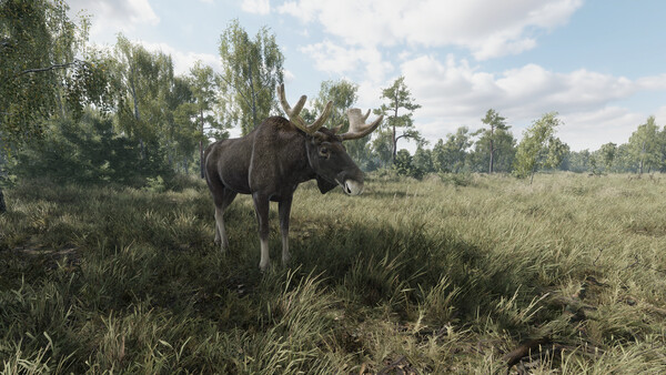 猎捕行动/On the Hunt_2