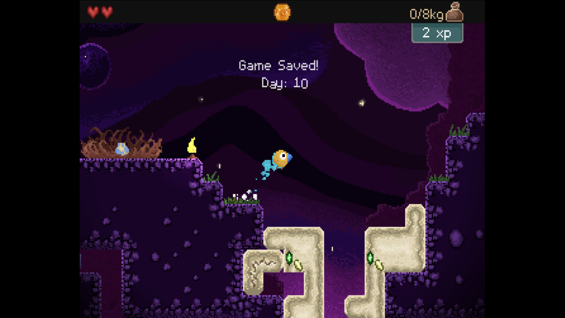 钻头鸟/Drill Bird_2