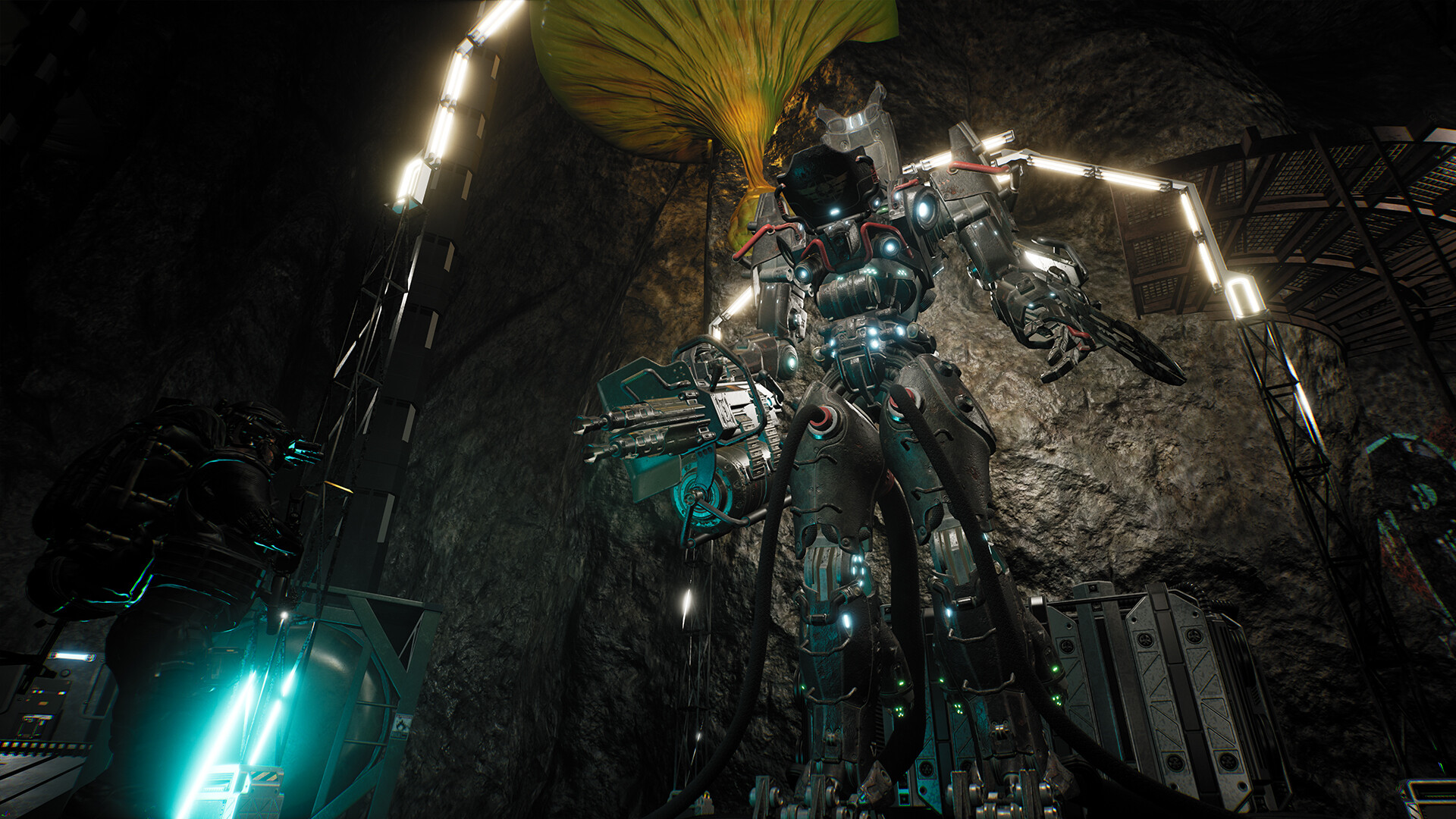 生命效应/LIFE EFFECT_0