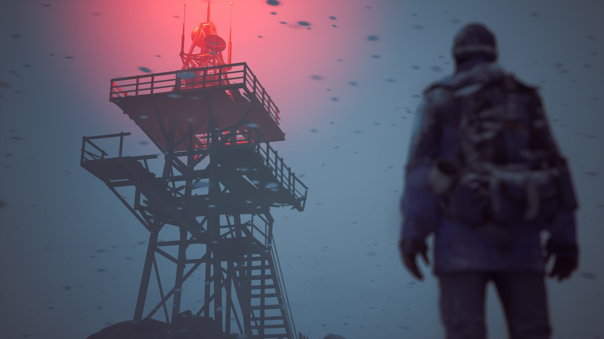 冬日幸存者/Winter Survival_1