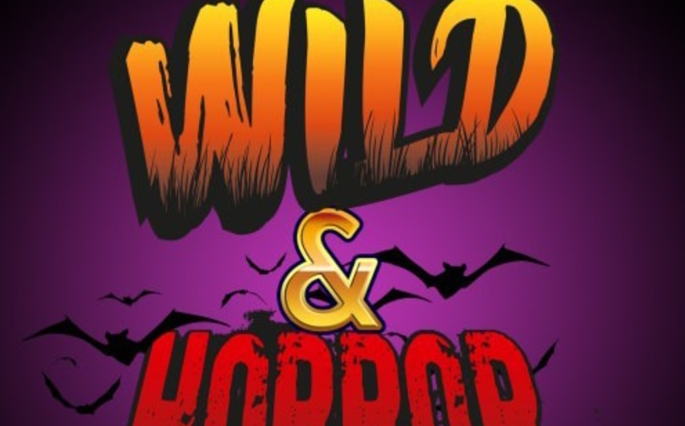 狂野和恐怖弹子球 Wild & Horror Pinball_0