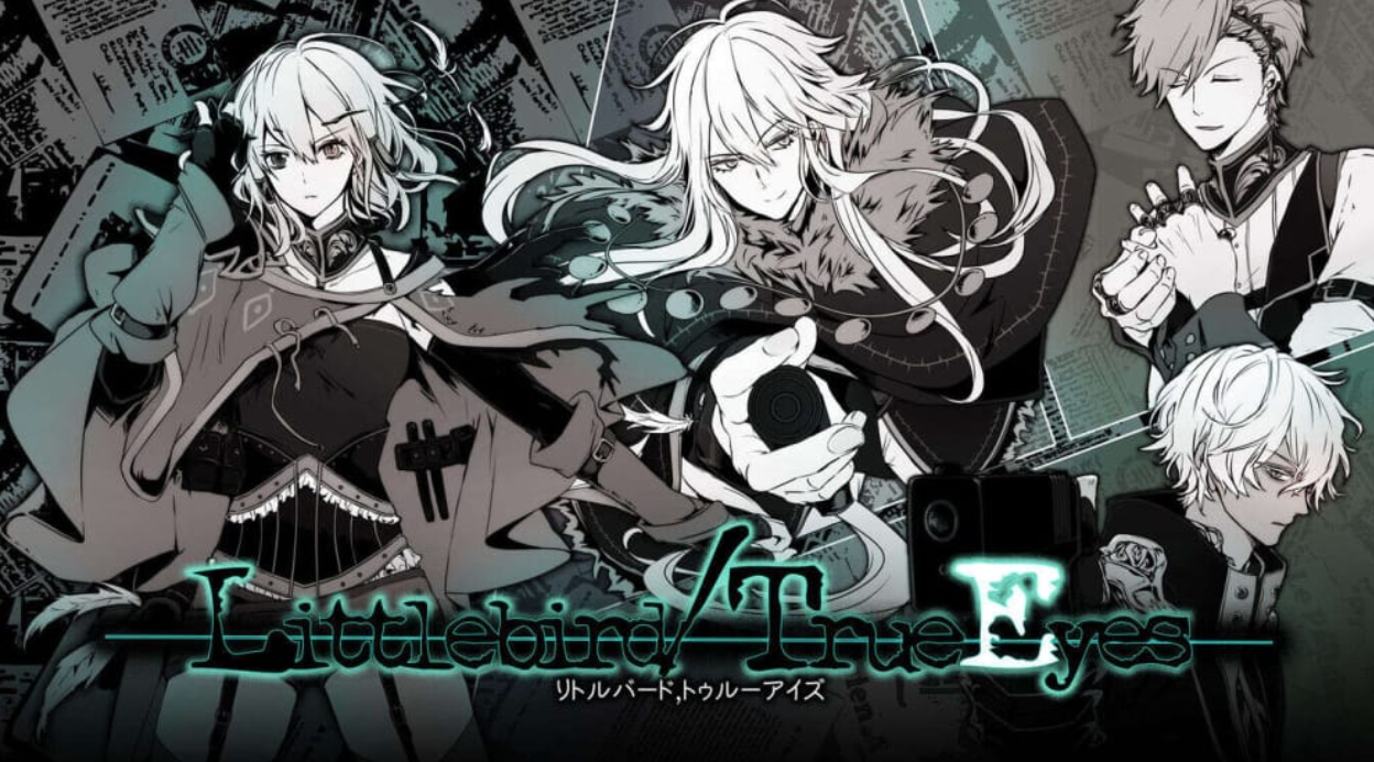 小鸟/真眼 Littlebird/TrueEyes_0