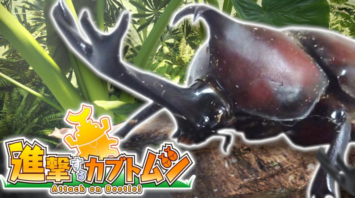 攻击甲虫 Attack on Beetle_0
