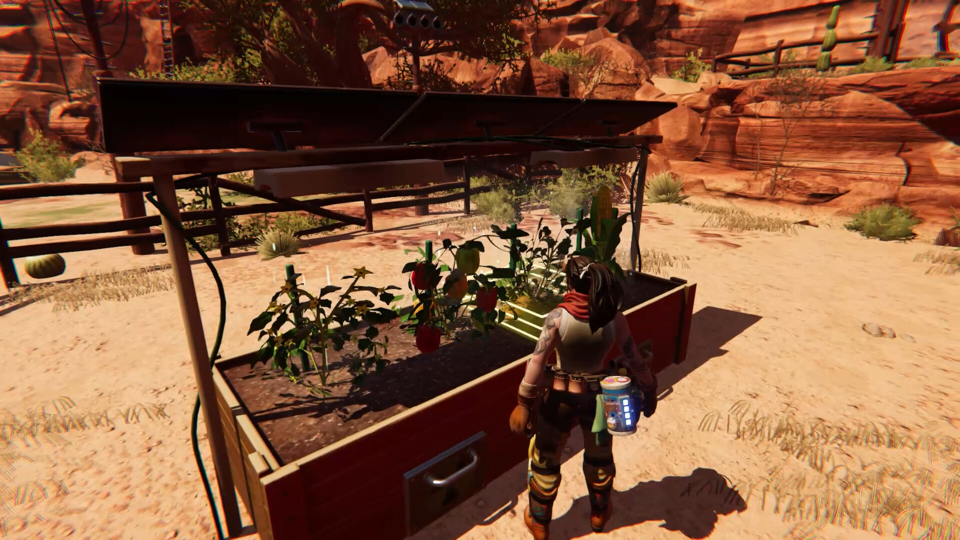 赏金之星/Bounty Star_1